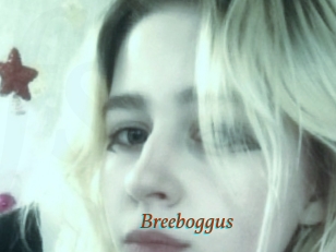 Breeboggus