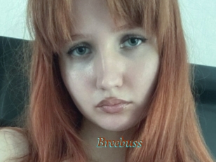 Breebuss