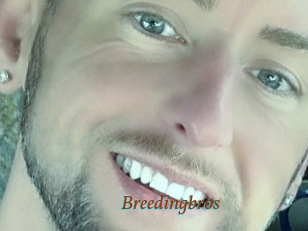 Breedingbros