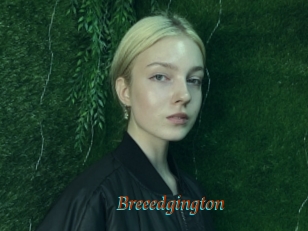 Breeedgington