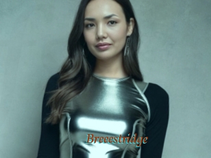 Breeestridge
