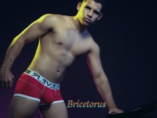 Bricetorus