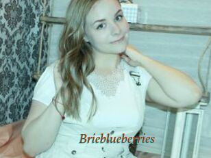 Brieblueberries