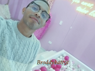 Broddykatt91