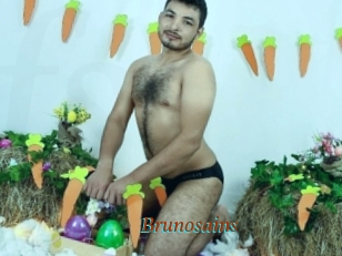 Brunosains