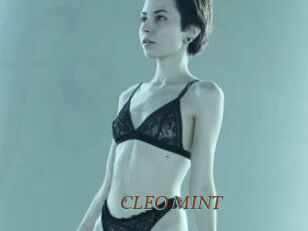 CLEO_MINT