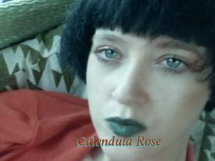 Calendula_Rose