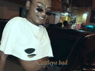 Cattleya_bad