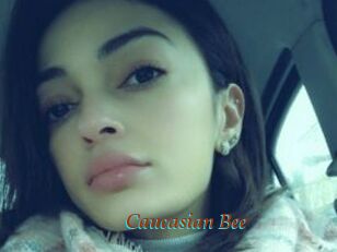 Caucasian_Bee