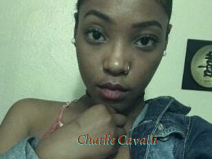 Charlie_Cavalli