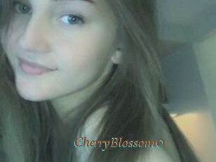 CherryBlossom0