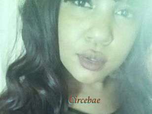 Circebae