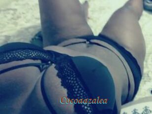 Cocoaazalea