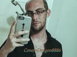 ConejoDragon8886