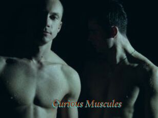 Curious_Muscules