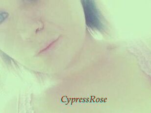 Cypress_Rose