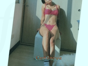 Camilnowa