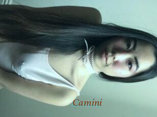 Camini
