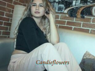 Candieflowers