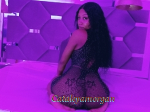Cataleyamorgan