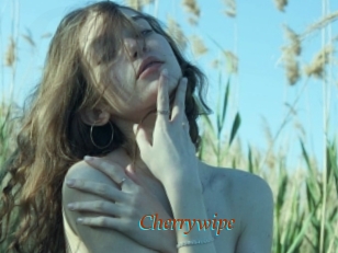 Cherrywipe