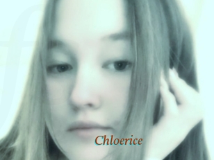 Chloerice