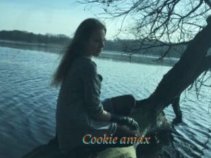 Cookie_anjax