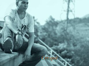 Crisgut