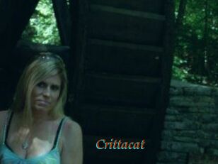 Crittacat