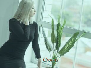 Crocus