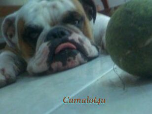 Cumalot4u