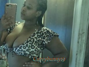 Curvybunny19
