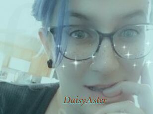 DaisyAster