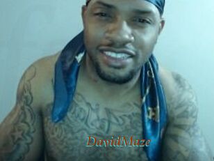 David_Maze