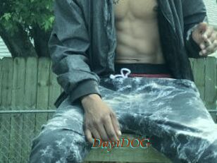 Day1DOG