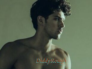 DiddyRough