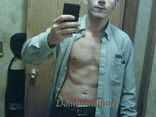Dominantmale