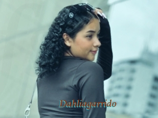 Dahliagarrido