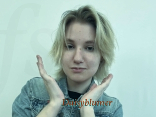 Daisyblumer