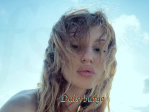 Daisyburge
