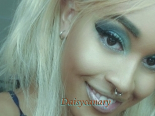 Daisycanary