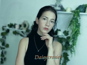Daisycrosier