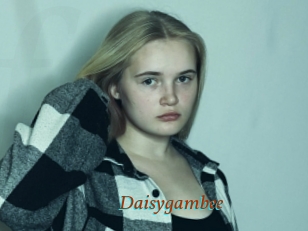 Daisygambee