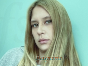 Daisynorris