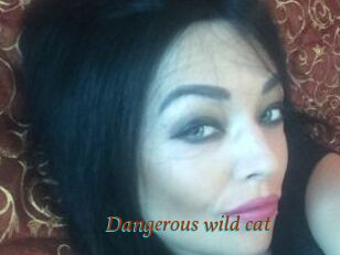 Dangerous_wild_cat