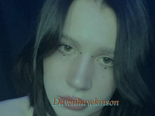 Dawnhawkinson