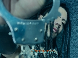Dimmurebel