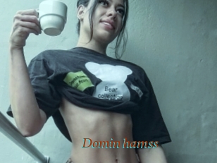 Domin_hamss