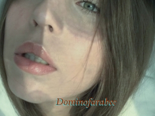 Dominofarabee