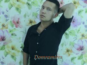 Domramires
